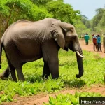 잠비아 야생동물 보호구역 - A vibrant scene of a community-led wildlife sanctuary in Zambia during daytime, featuring local vill...